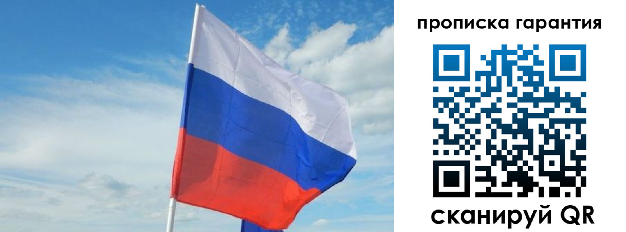 прописка для школы в Владимирской области